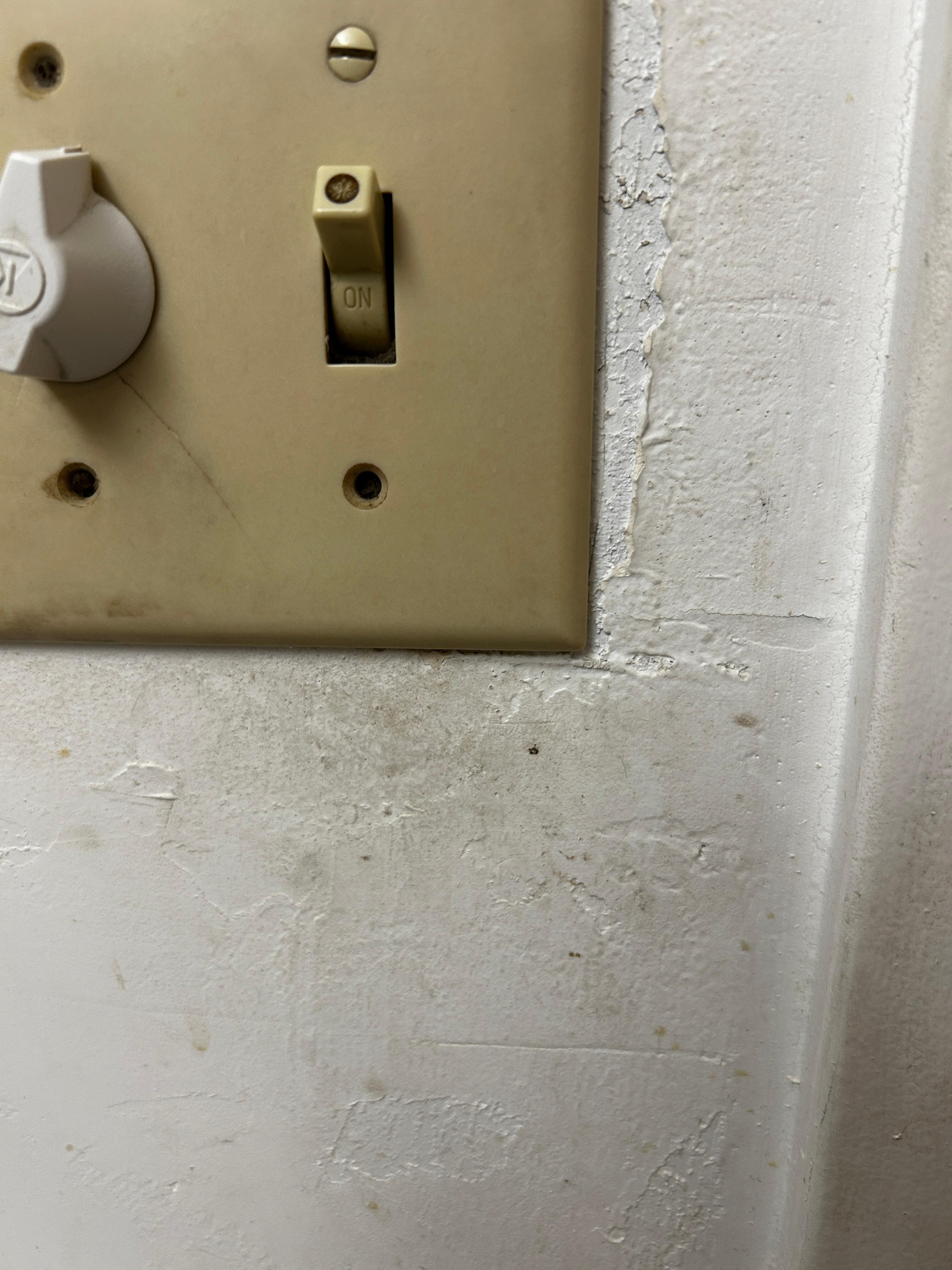 Bathroom light switch AFTER cleaning 
