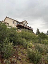 View looking up from the fire pit