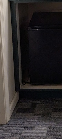 grime near fridge