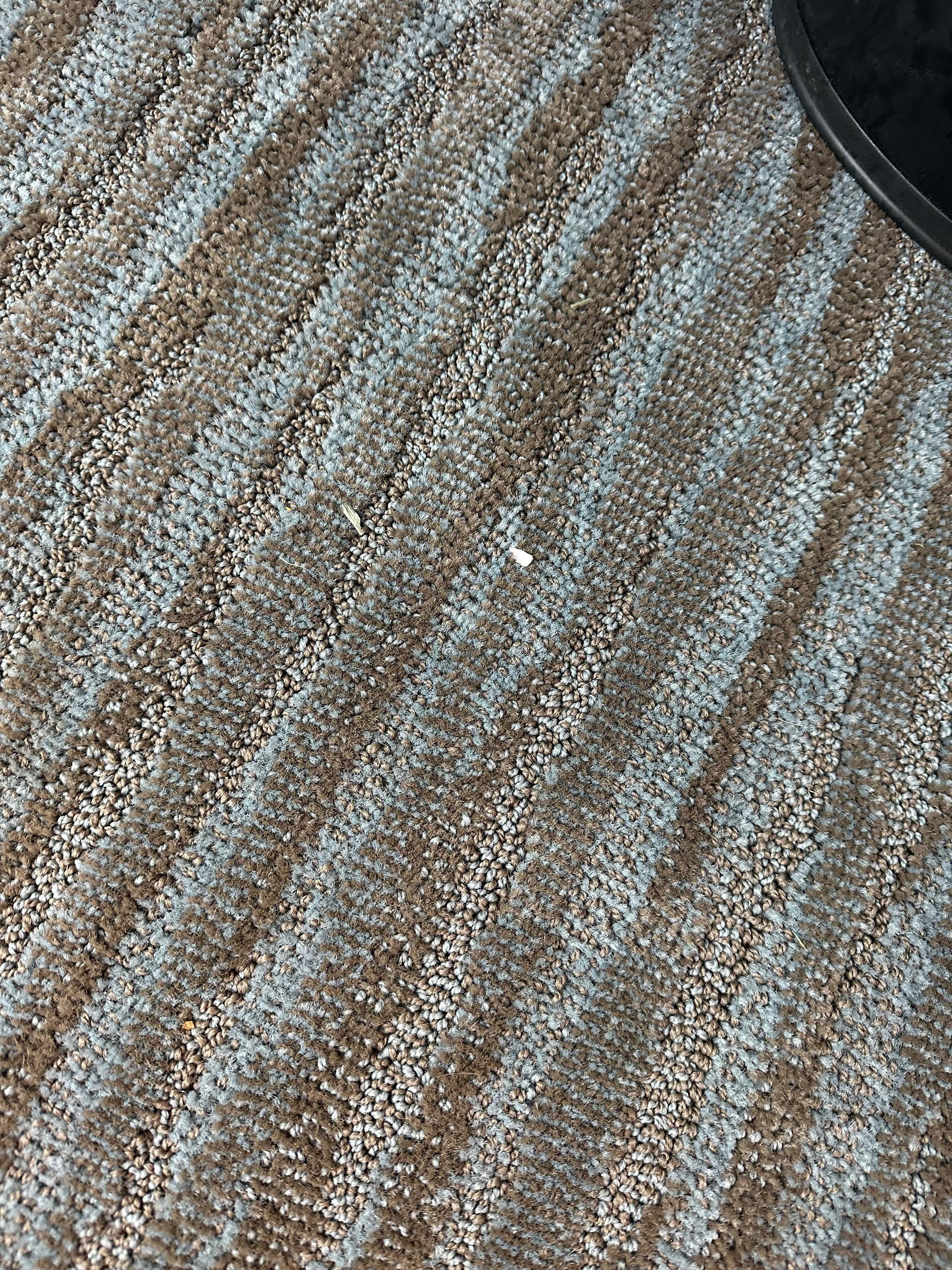 Carpets not vacuumed.