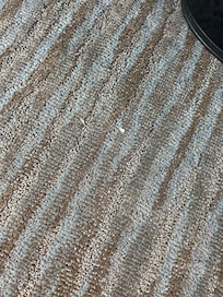 Carpets not vacuumed.