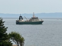 Fishing boat outside the cottage cormorants
