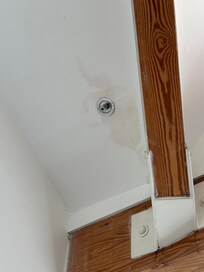 The leaking sprinkler. You can tell from the discoloration that it is a KNOWN & neglected problem.