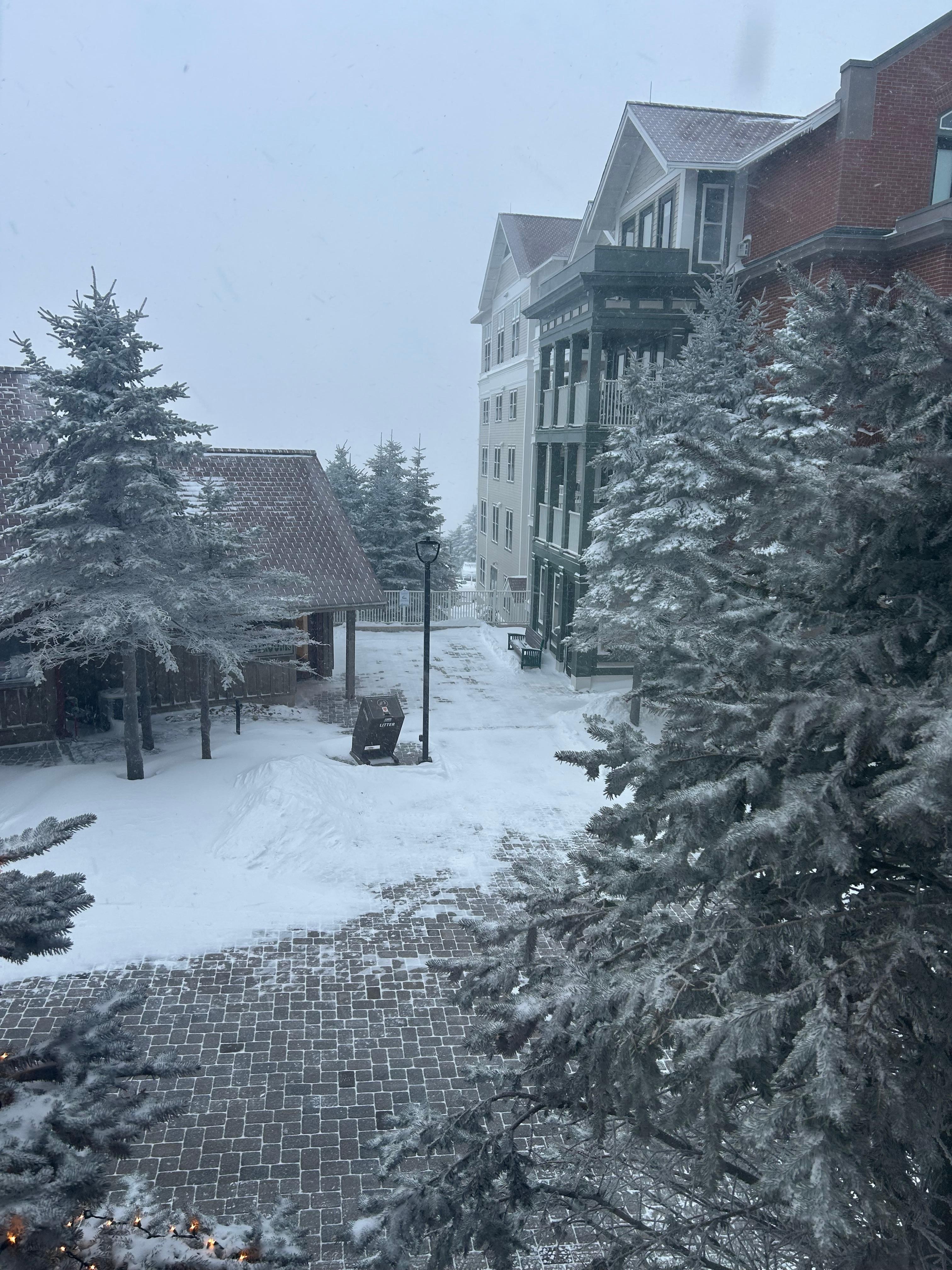 Mornin view from window