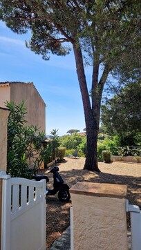 großer Gartenbereich