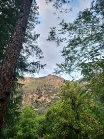 Morning view from back porch.