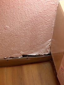 you know there is mold behind this