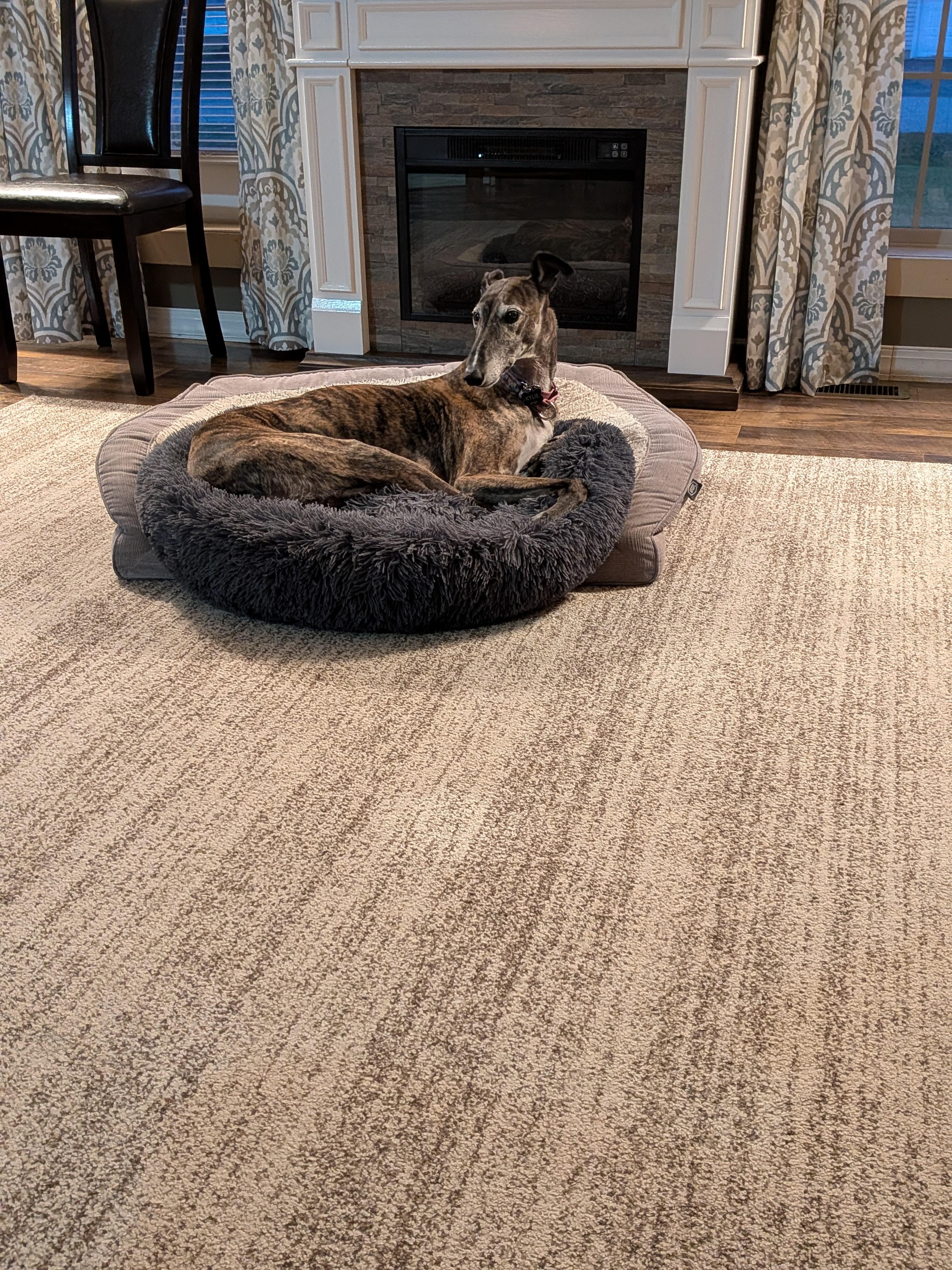 Kylie enjoyed it also.