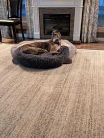 Kylie enjoyed it also.