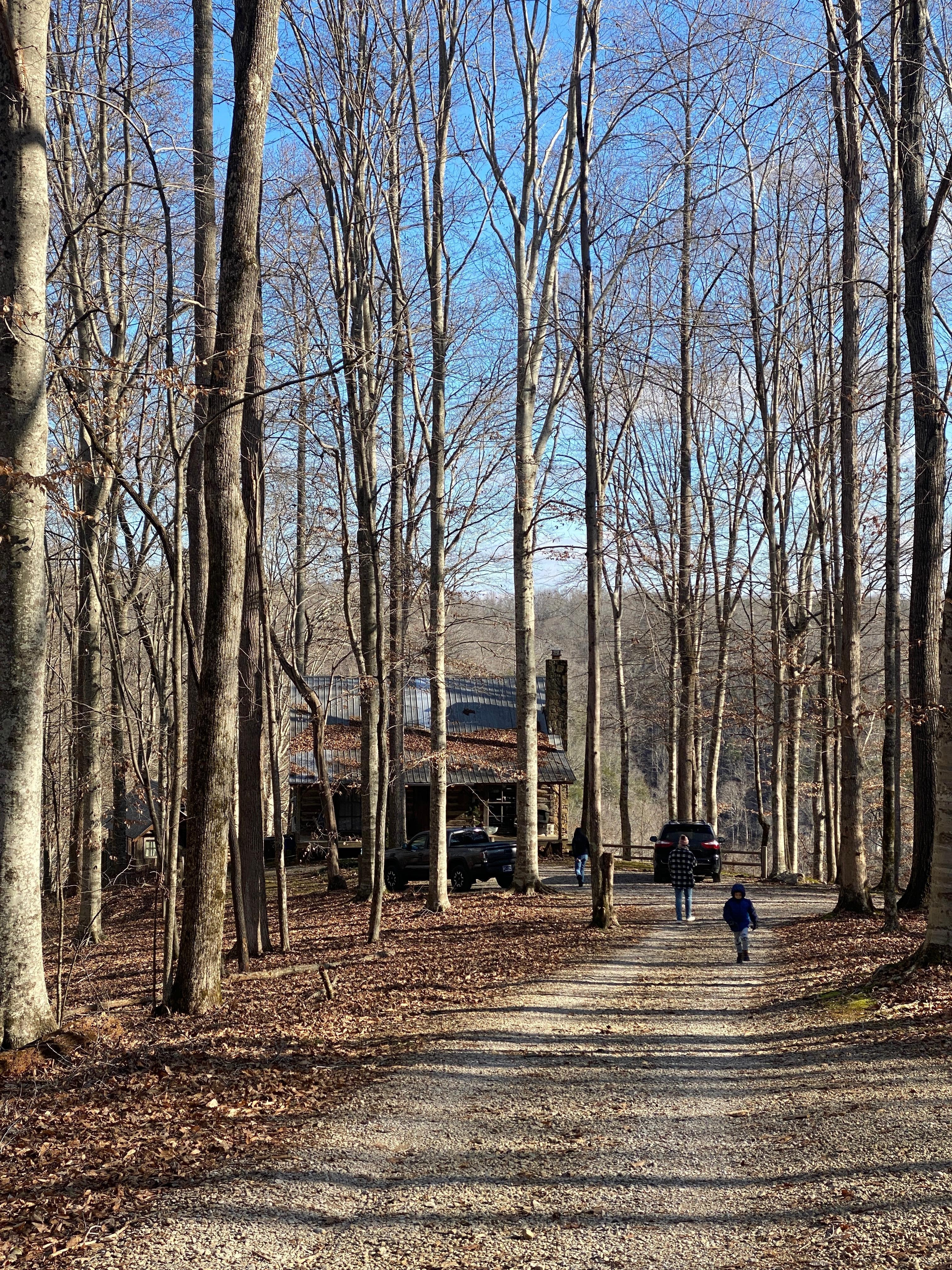 View down to the main cabin. The smaller cabin is just to the right of this view, and the tree house is just beyond the main cabin.