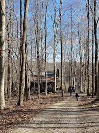 View down to the main cabin. The smaller cabin is just to the right of this view, and the tree house is just beyond the main cabin.