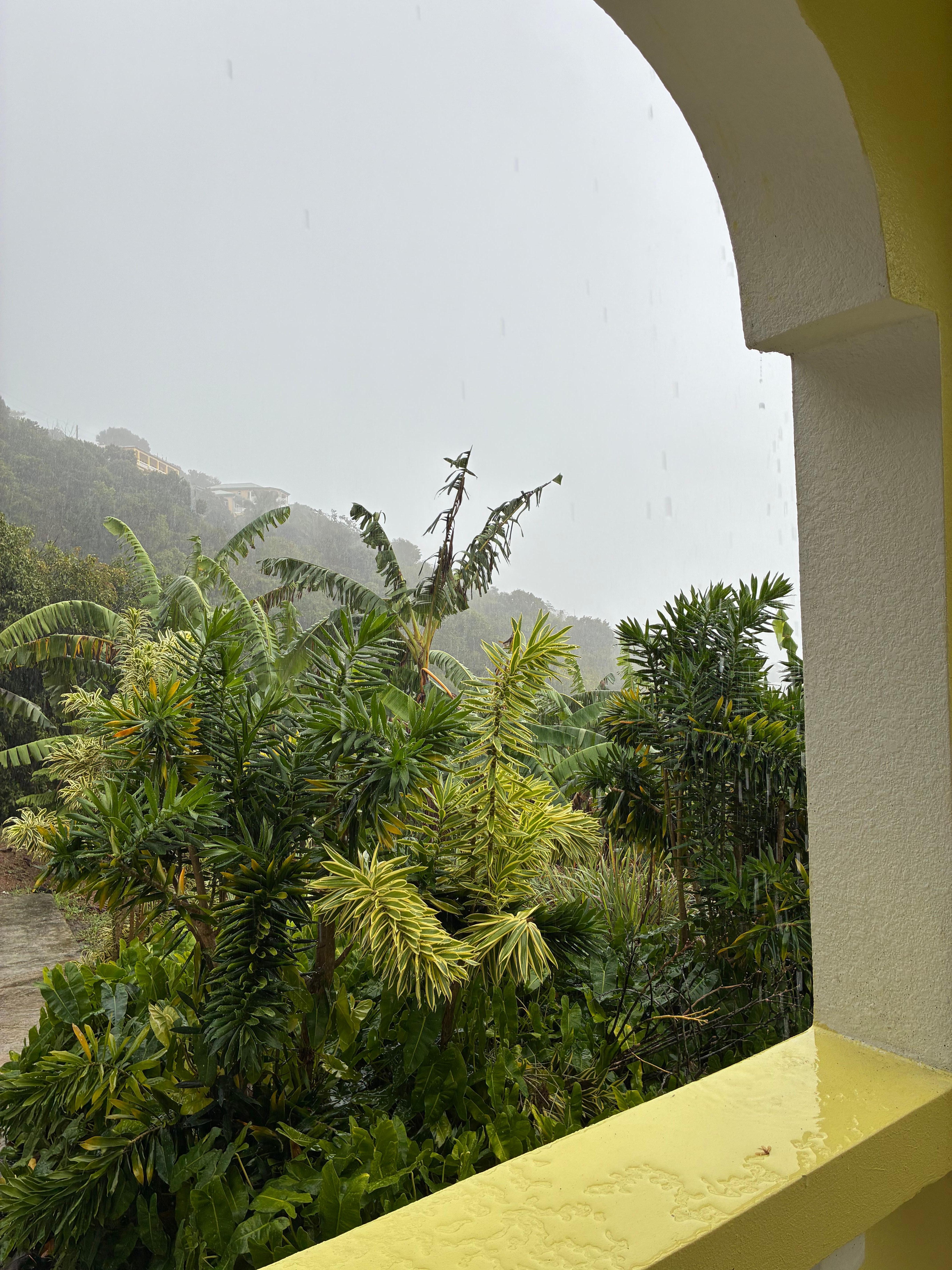 View during the rainy day