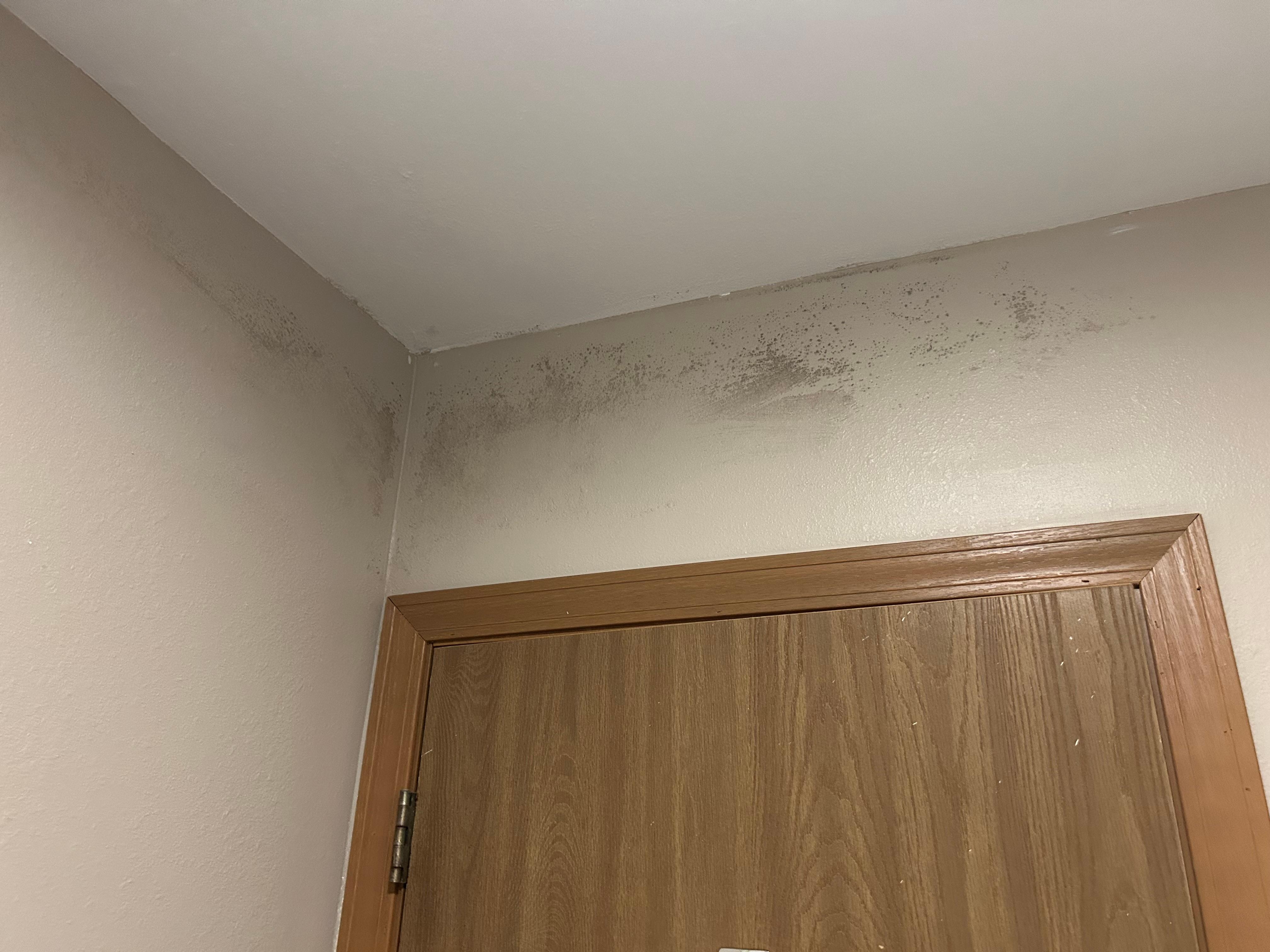 Mold in bathroom 