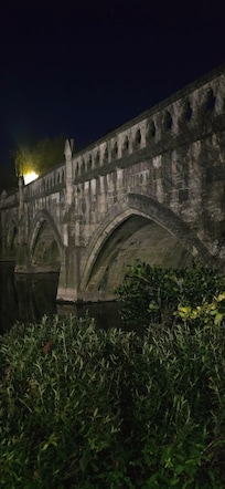 Night shot of the bridge from the hotel