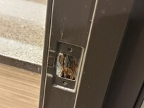 No knob on restroom door