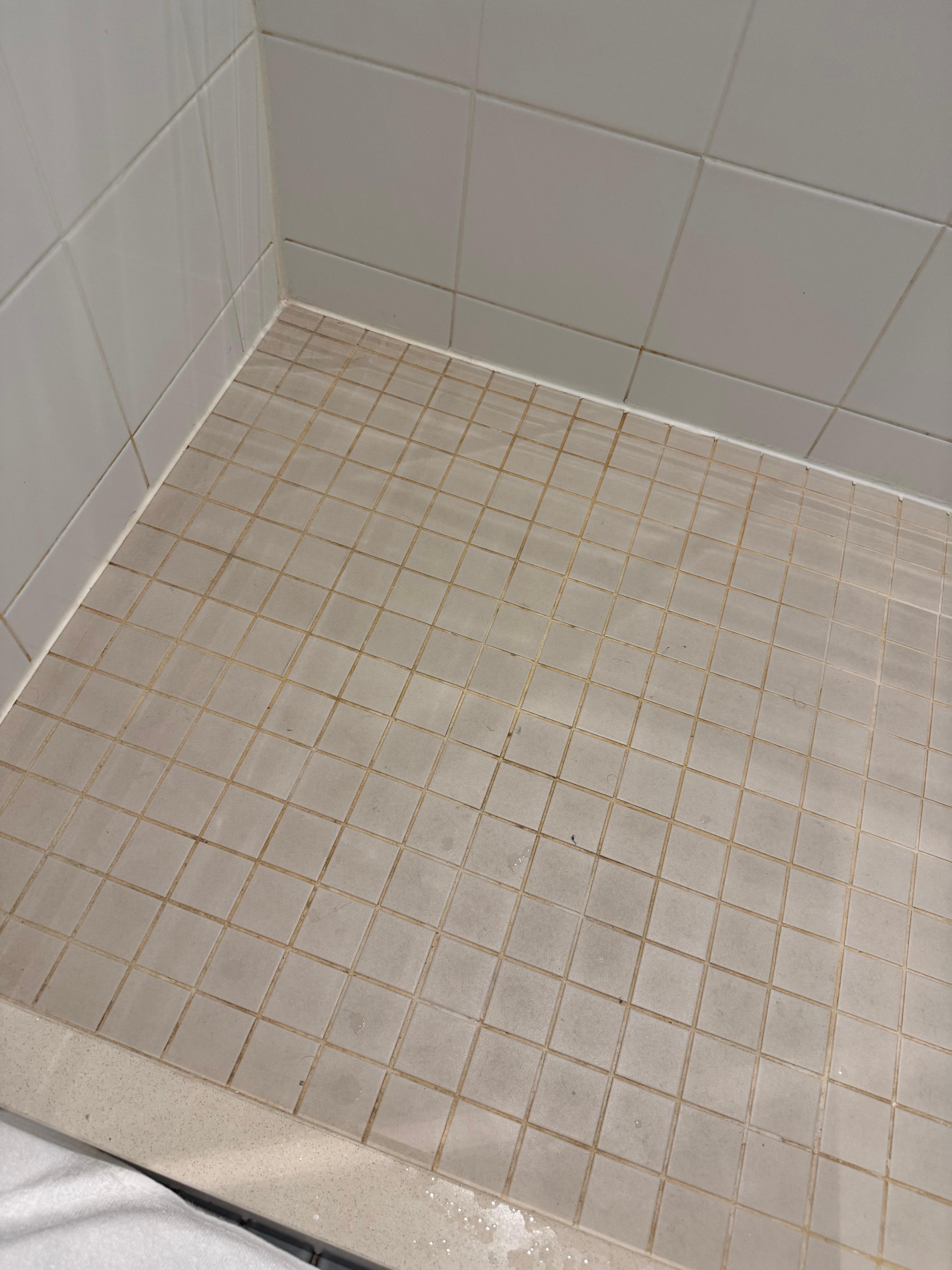 Old dirty grout in shower