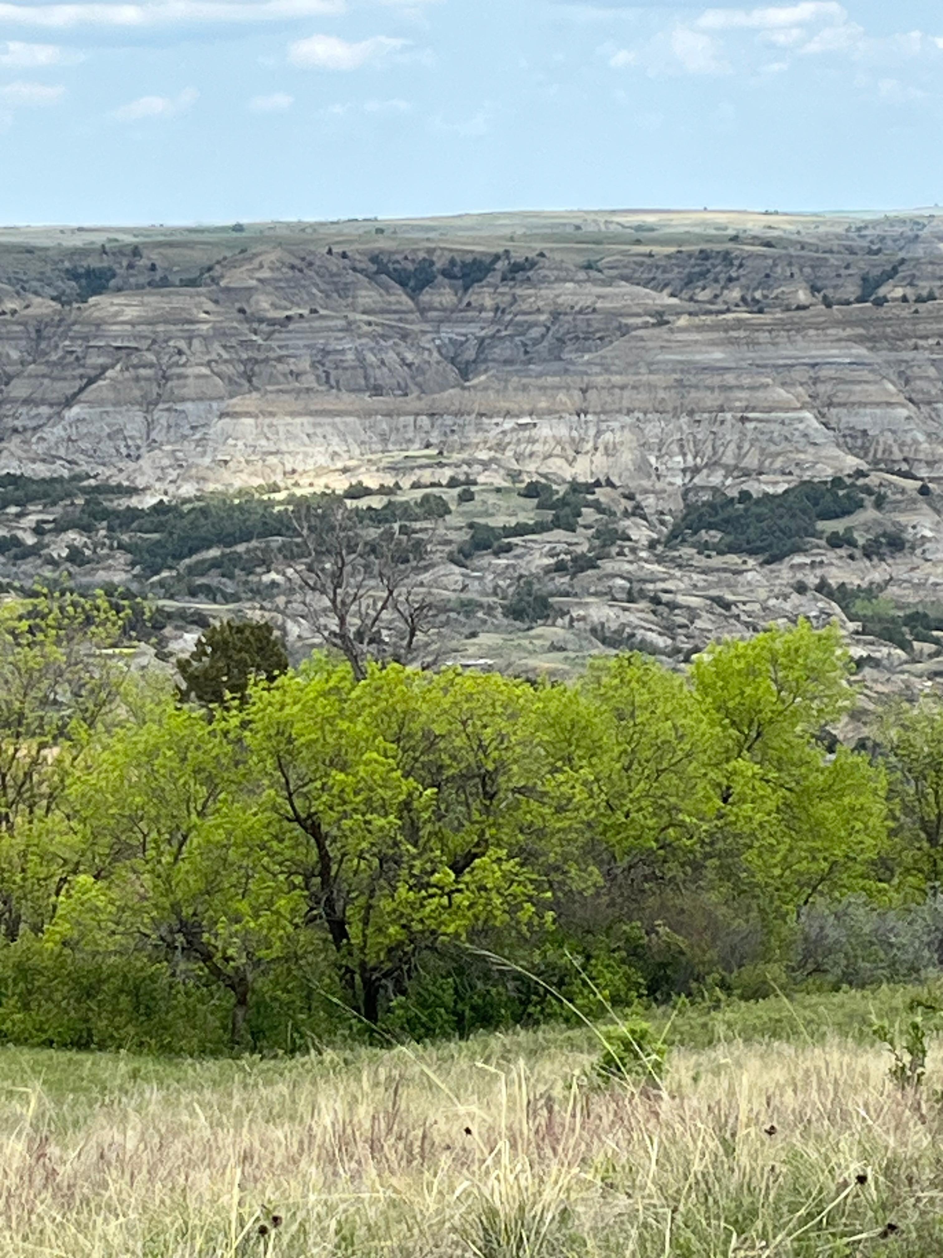 Theodore Roosevelt National Park 