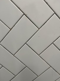 Small ants in shower