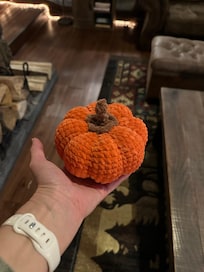 My wife made a mini pumpkin and we left it on the fireplace.