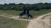 Corolla Outback Adventures