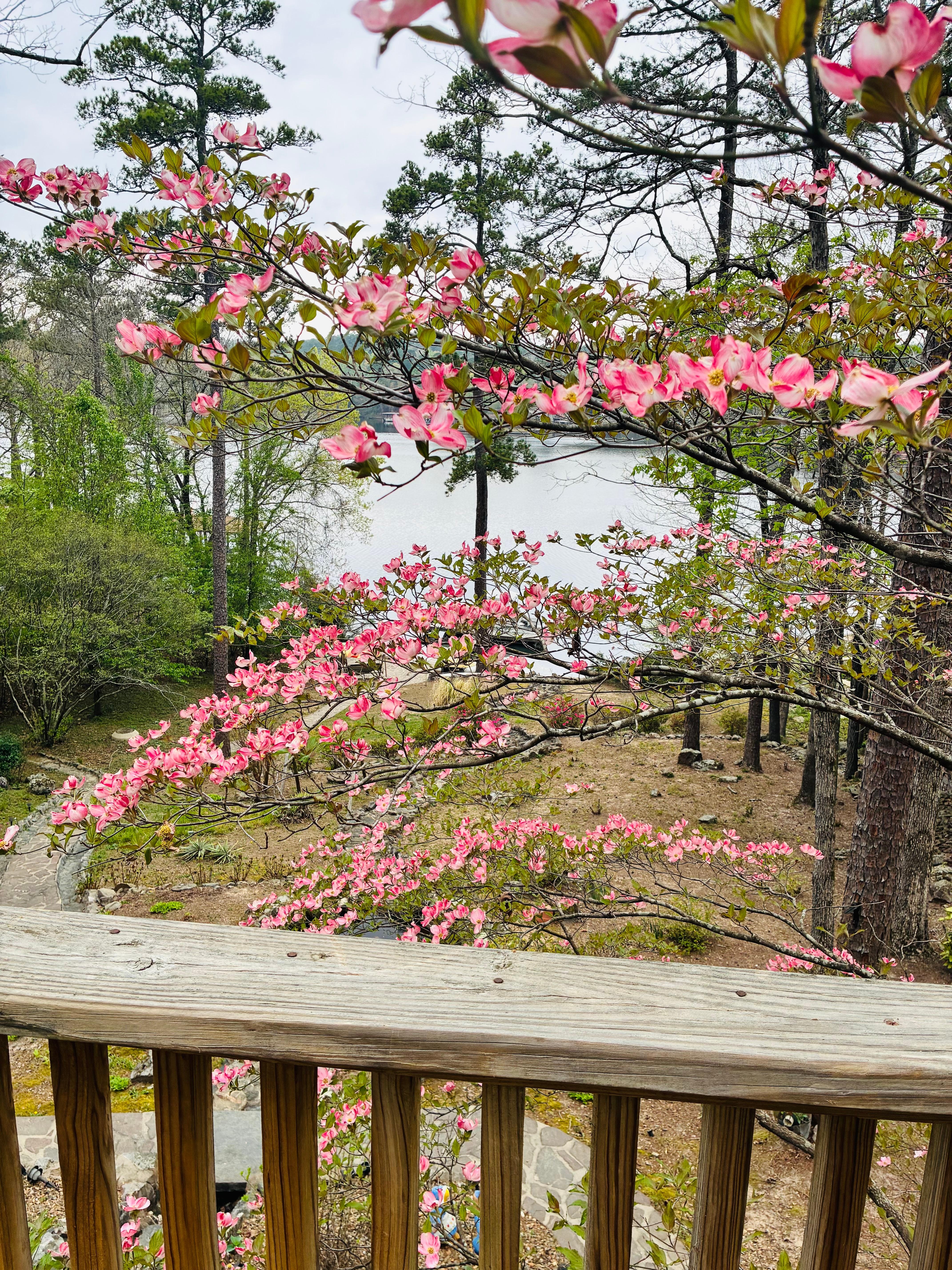 The scenery was amazing.