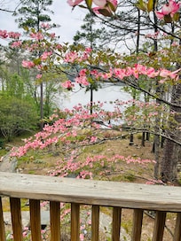 The scenery was amazing.