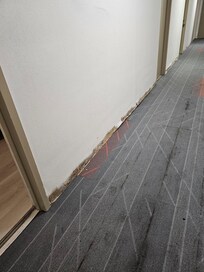 Baseboards completely torn out and bugs stuck to wall