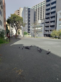 Slash hotell till höger.