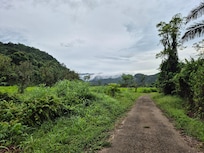 Main trail