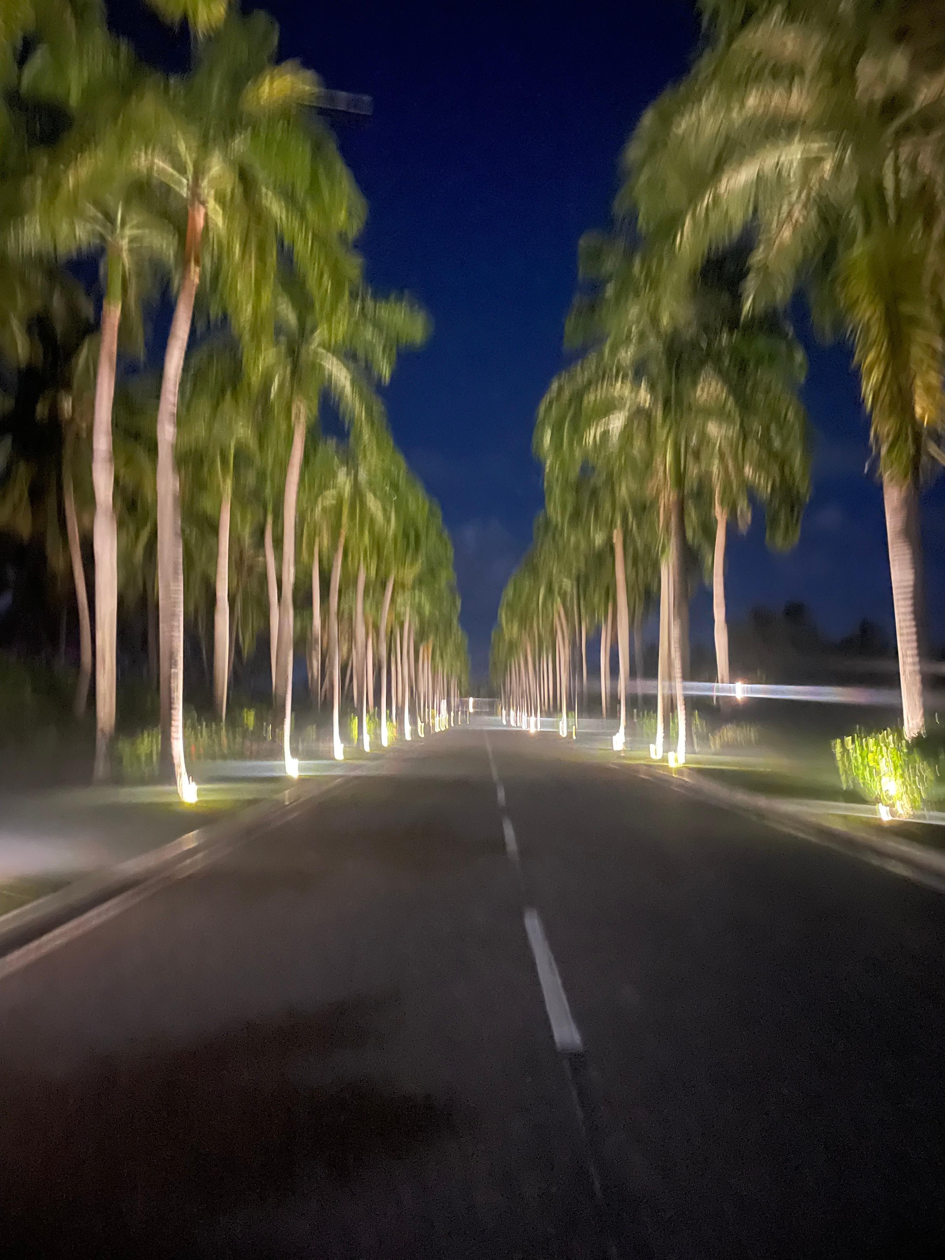 The entrance at night