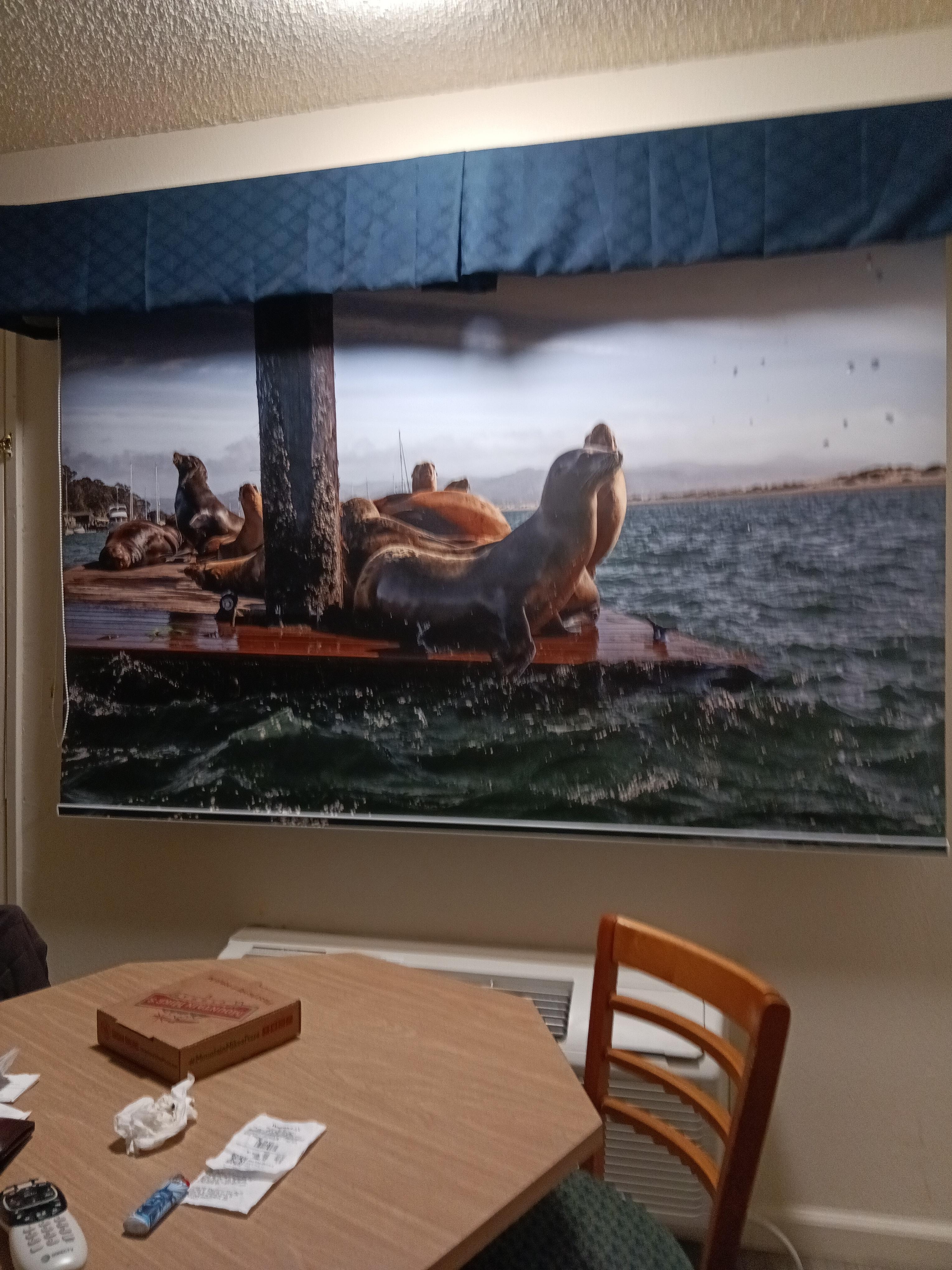 Inside view of pull down window blind