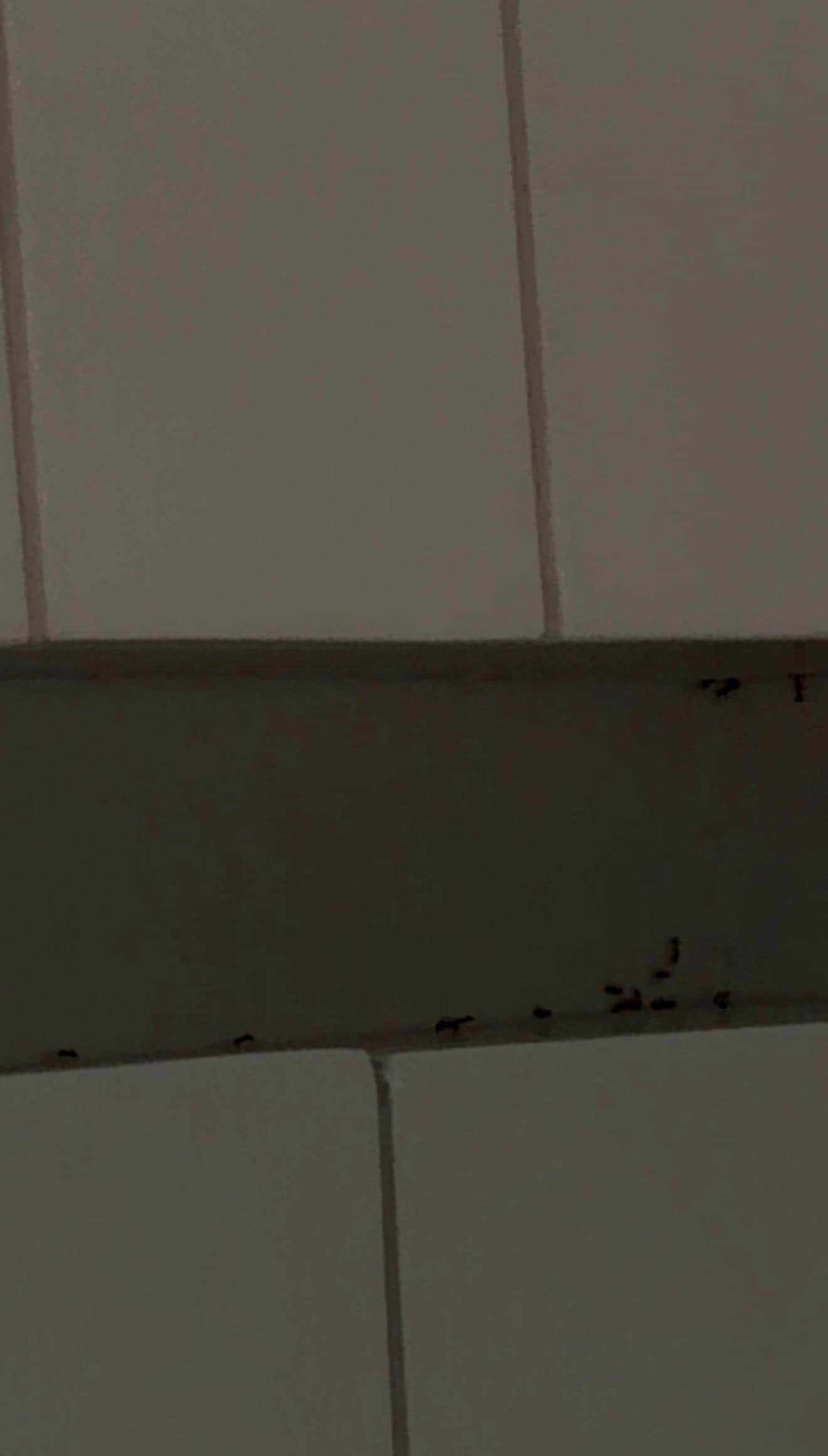 This space doesn’t hold anything for us to spill.