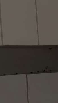 This space doesn’t hold anything for us to spill.