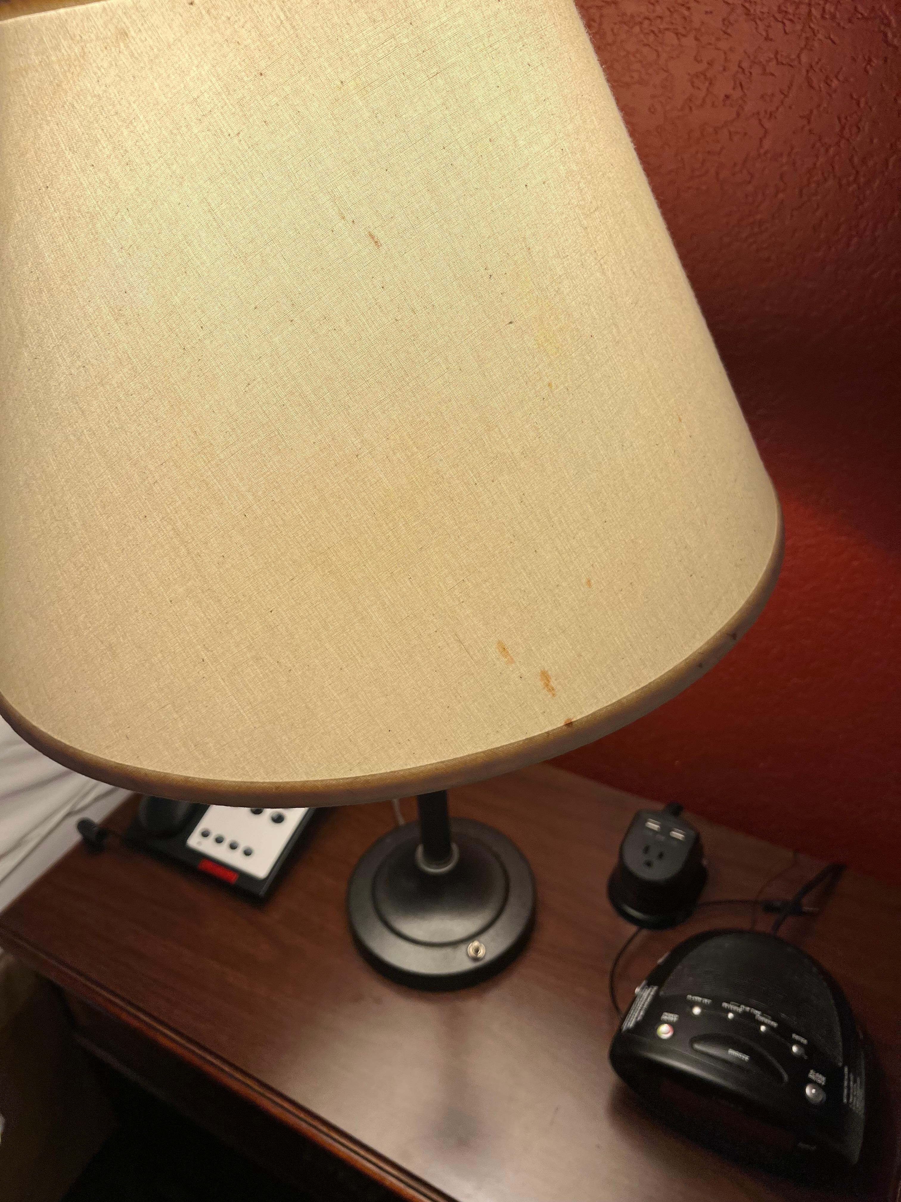 Unidentifiable splatter on lampshade