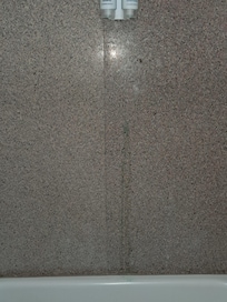 Shampoo and conditioner running down the wall in the shower