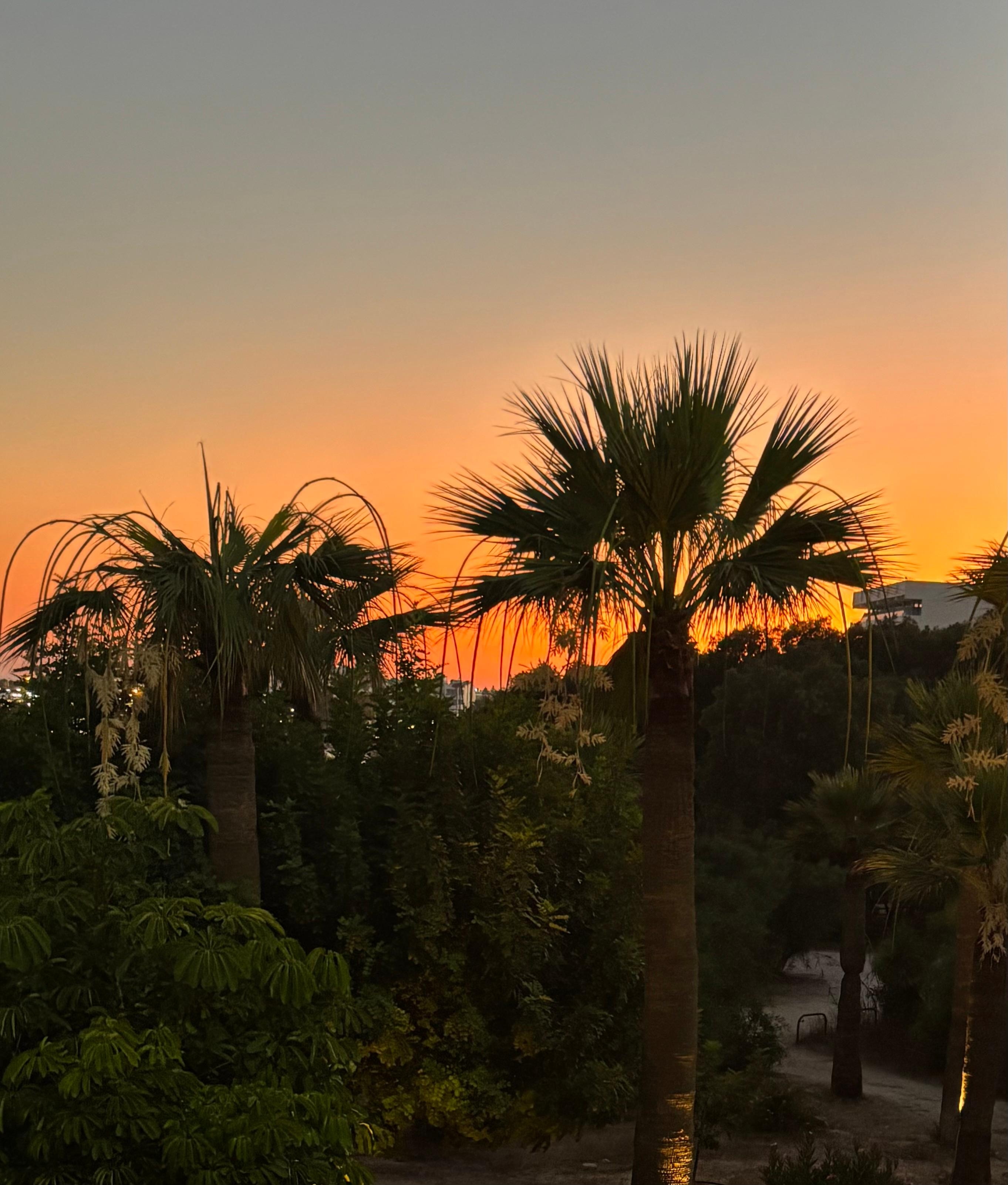 Sunset