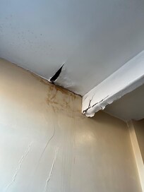 Above the stairs on the 3rd floor - ceiling joist that didn`t look too safe from what looks like a leaking roof !!