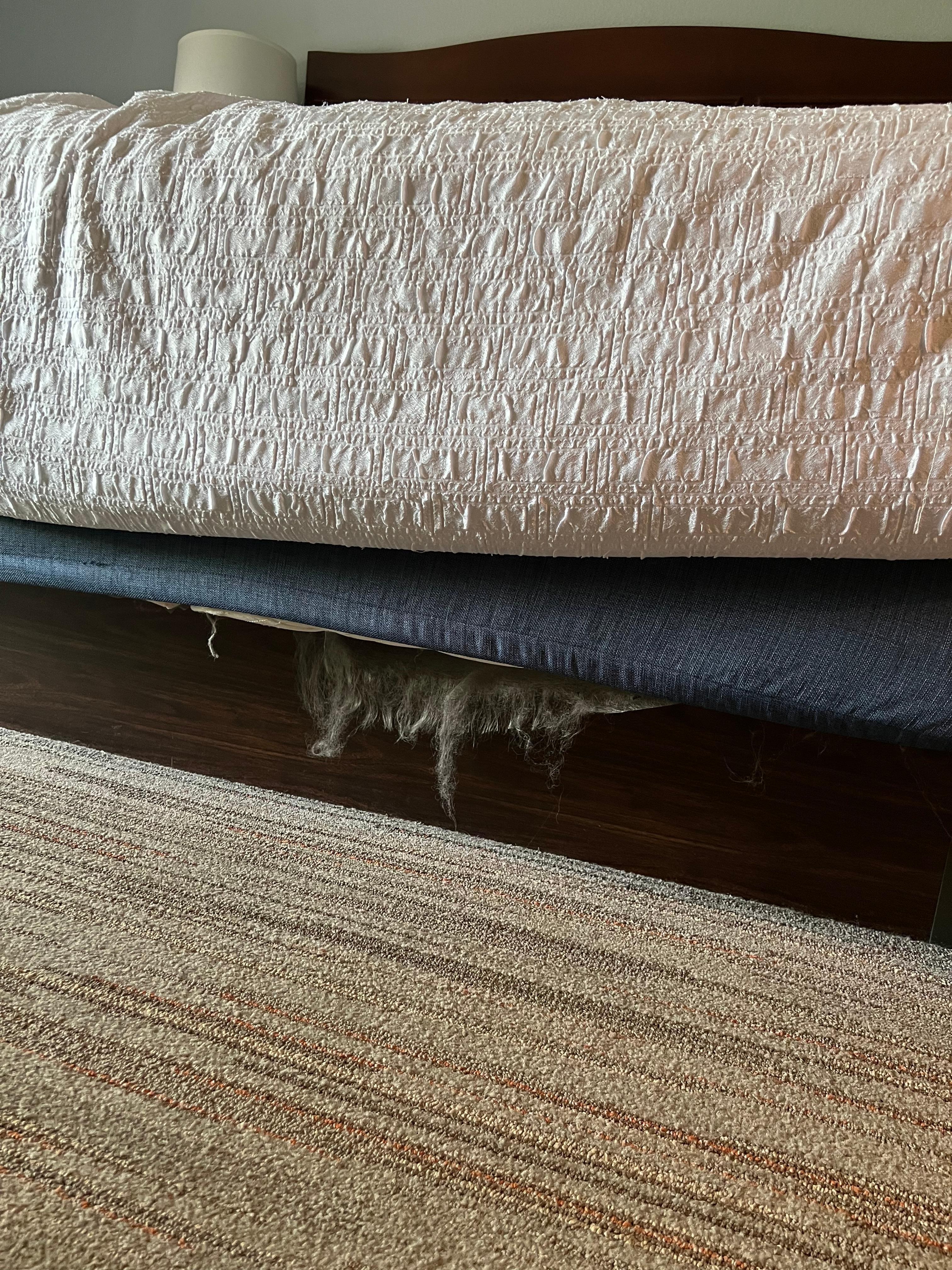 something all tore up under the bed.