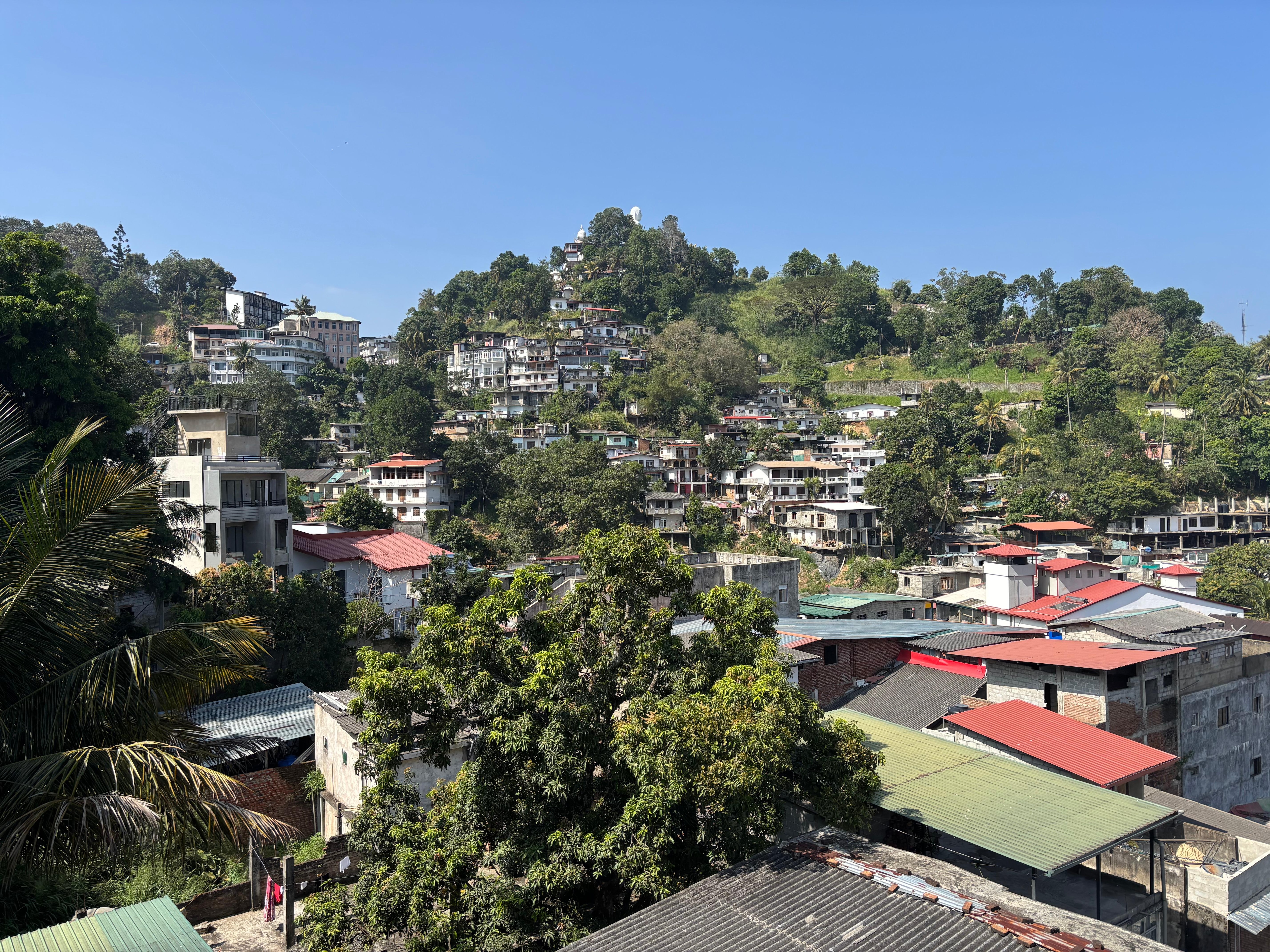 View from pool area.