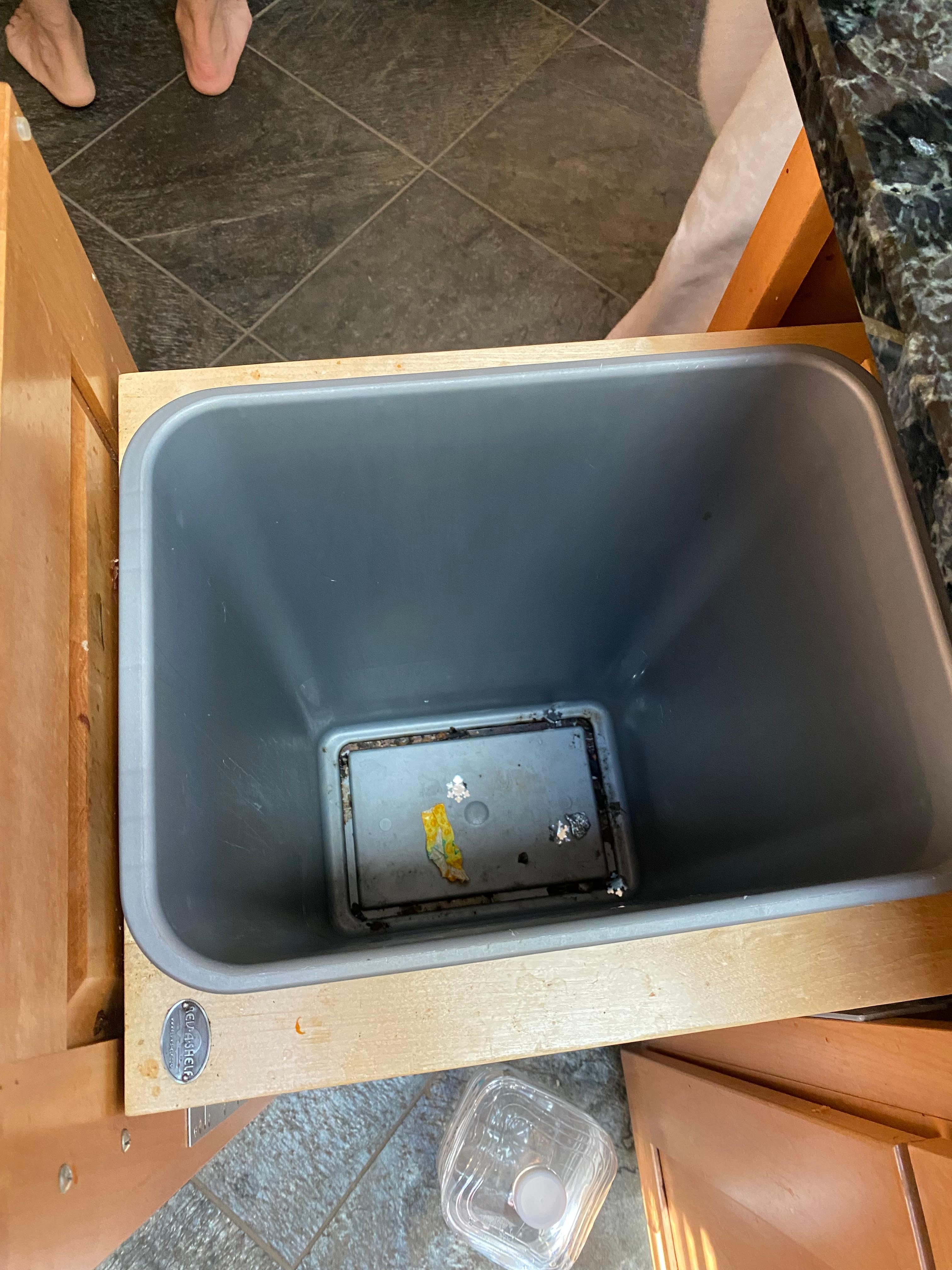 Build up mold in trash can at arrival 