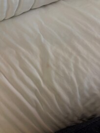 “Clean” sheets