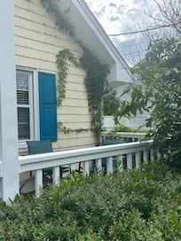 Overgrown landscaping