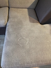 Couch stains