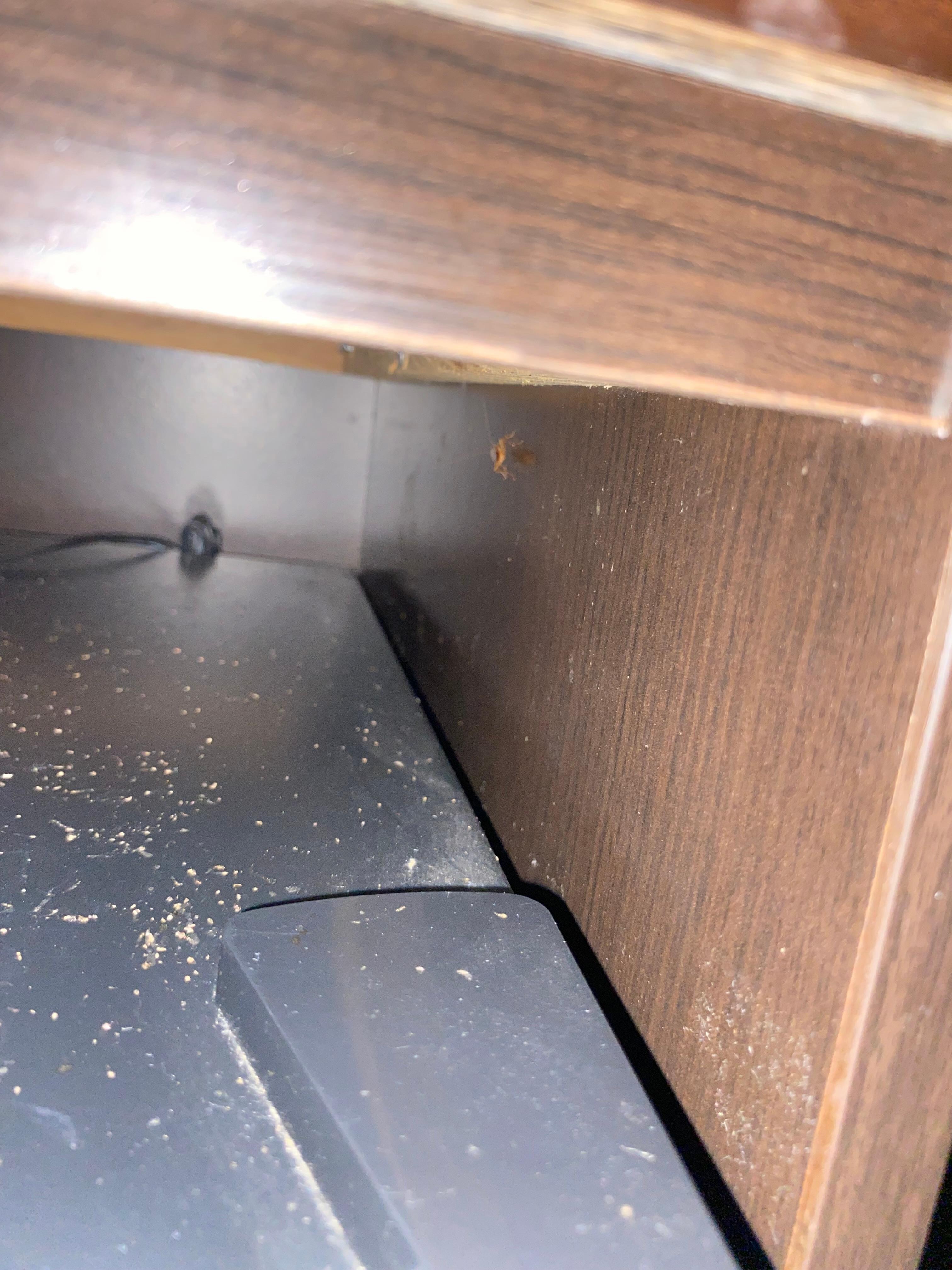Residue with roach on the side wall of the entertainment center
