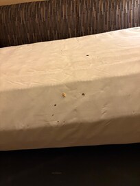 Pull out bed my daughter was supposed to sleep on