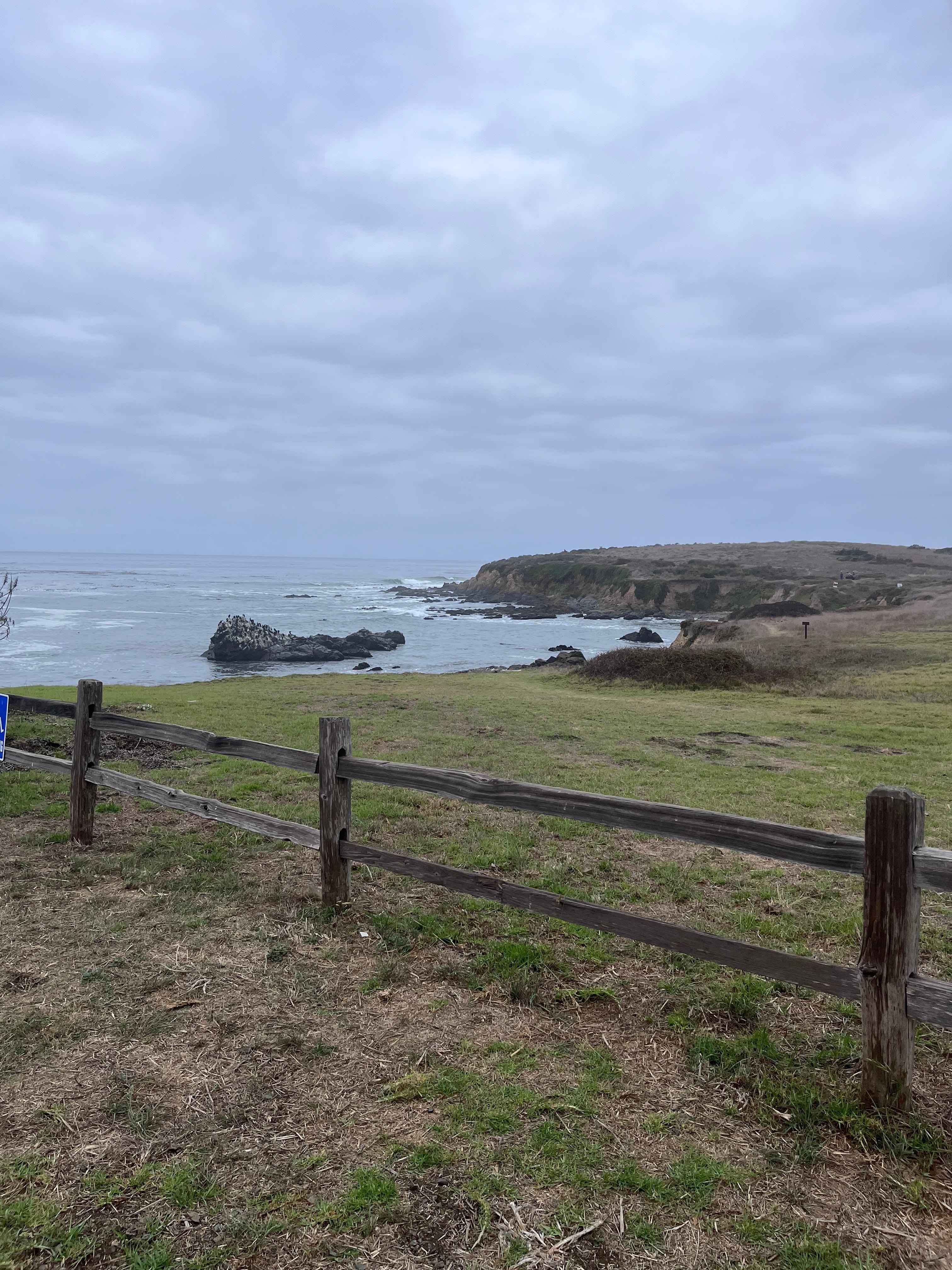 View from Fiscalini Ranch Reserve