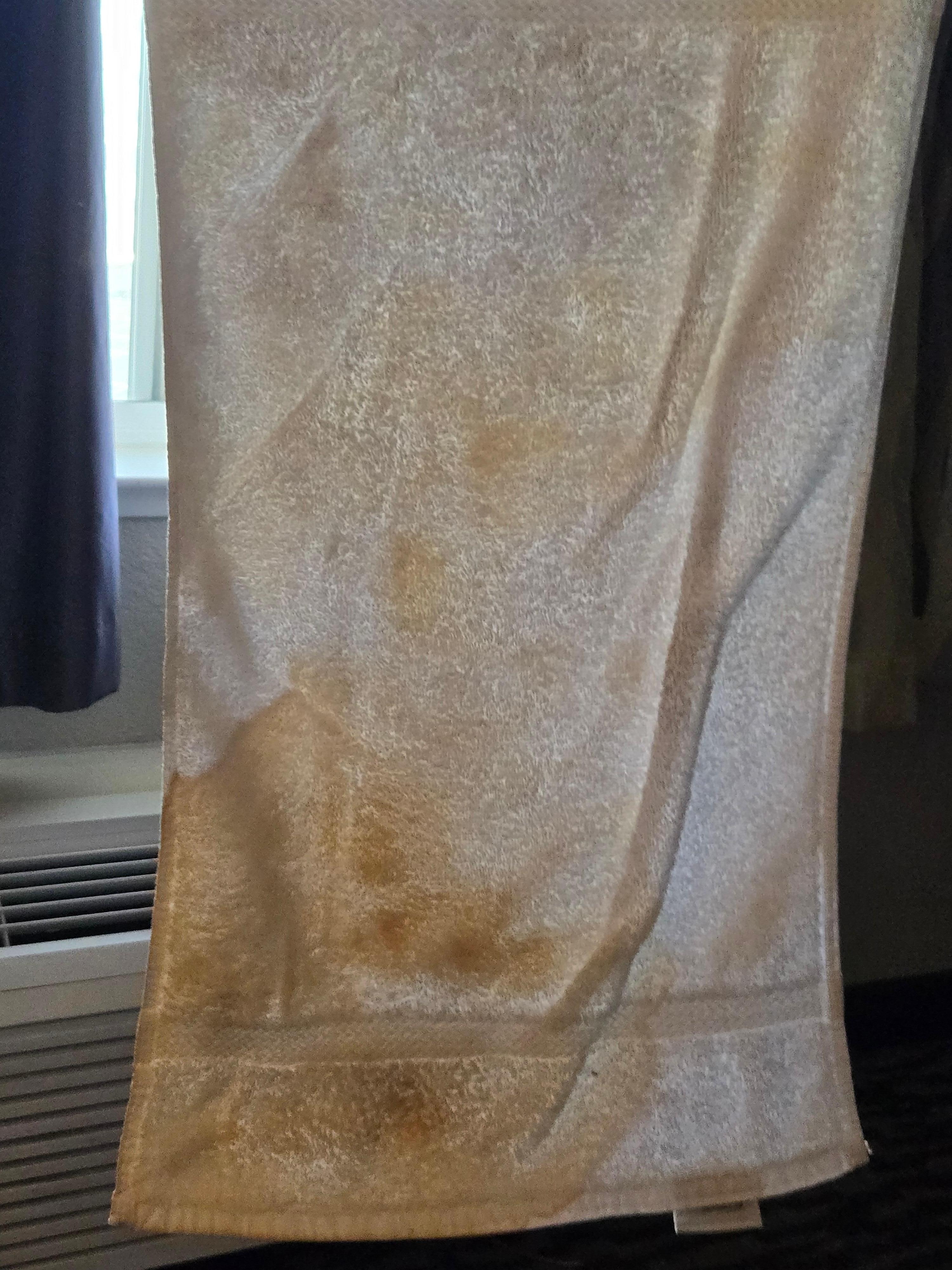 What was leaking out of fridge