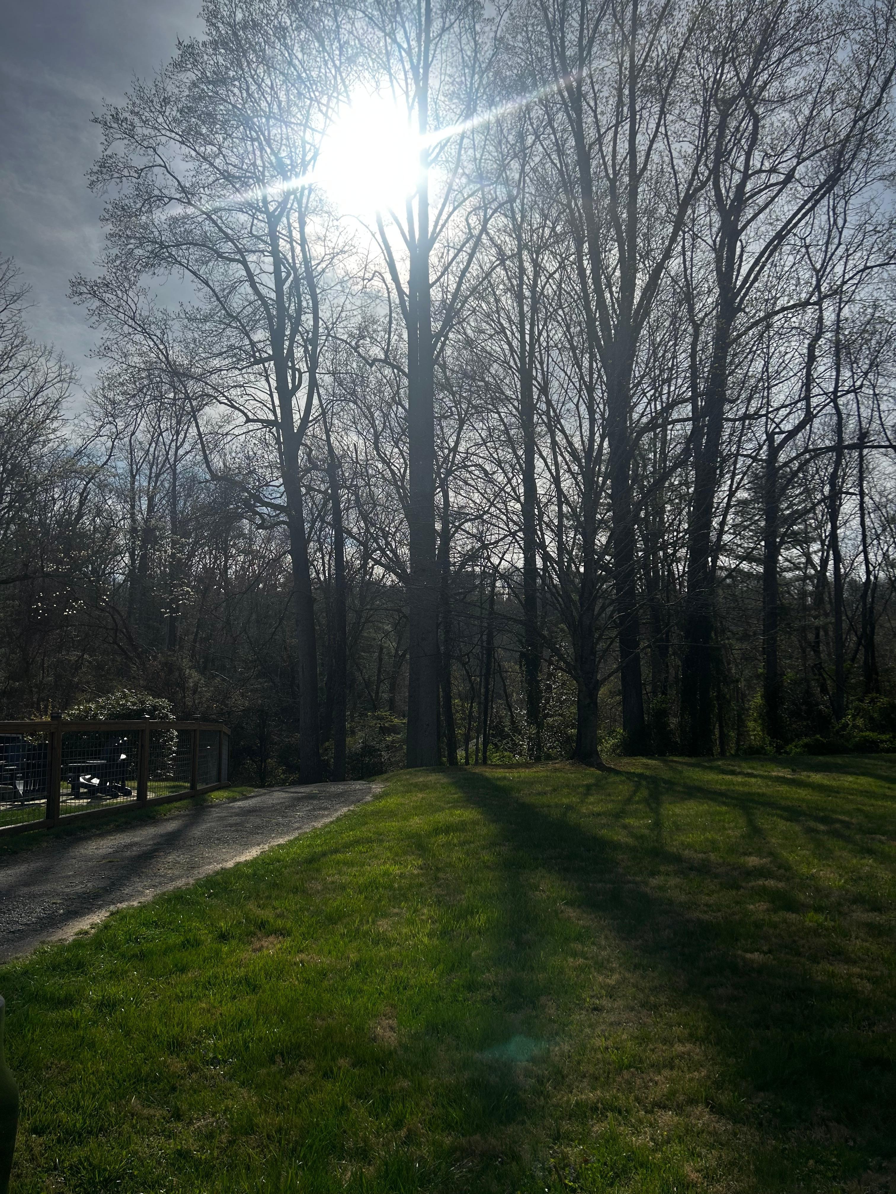 Gorgeous and relaxing property 