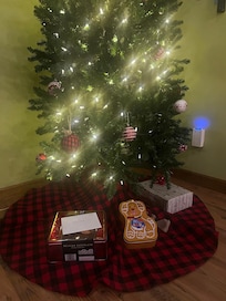 Beautiful Christmas Tree!