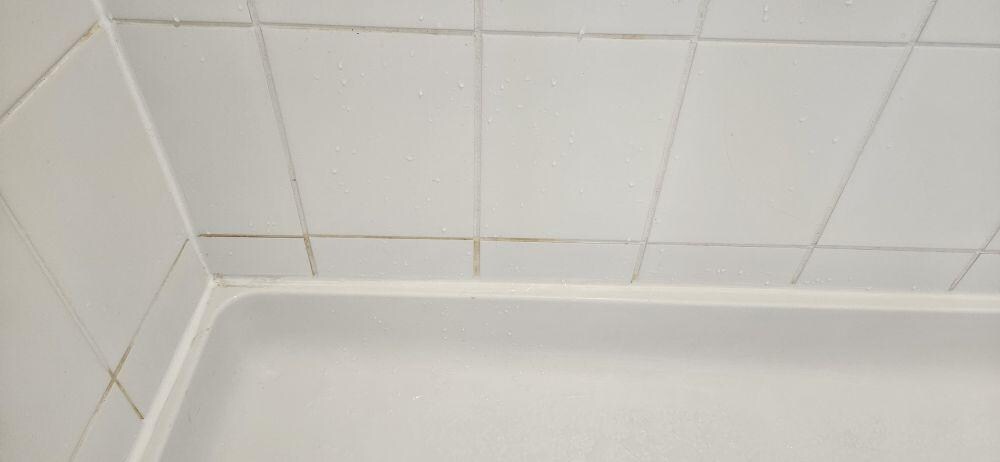 Shower stall soap scum
